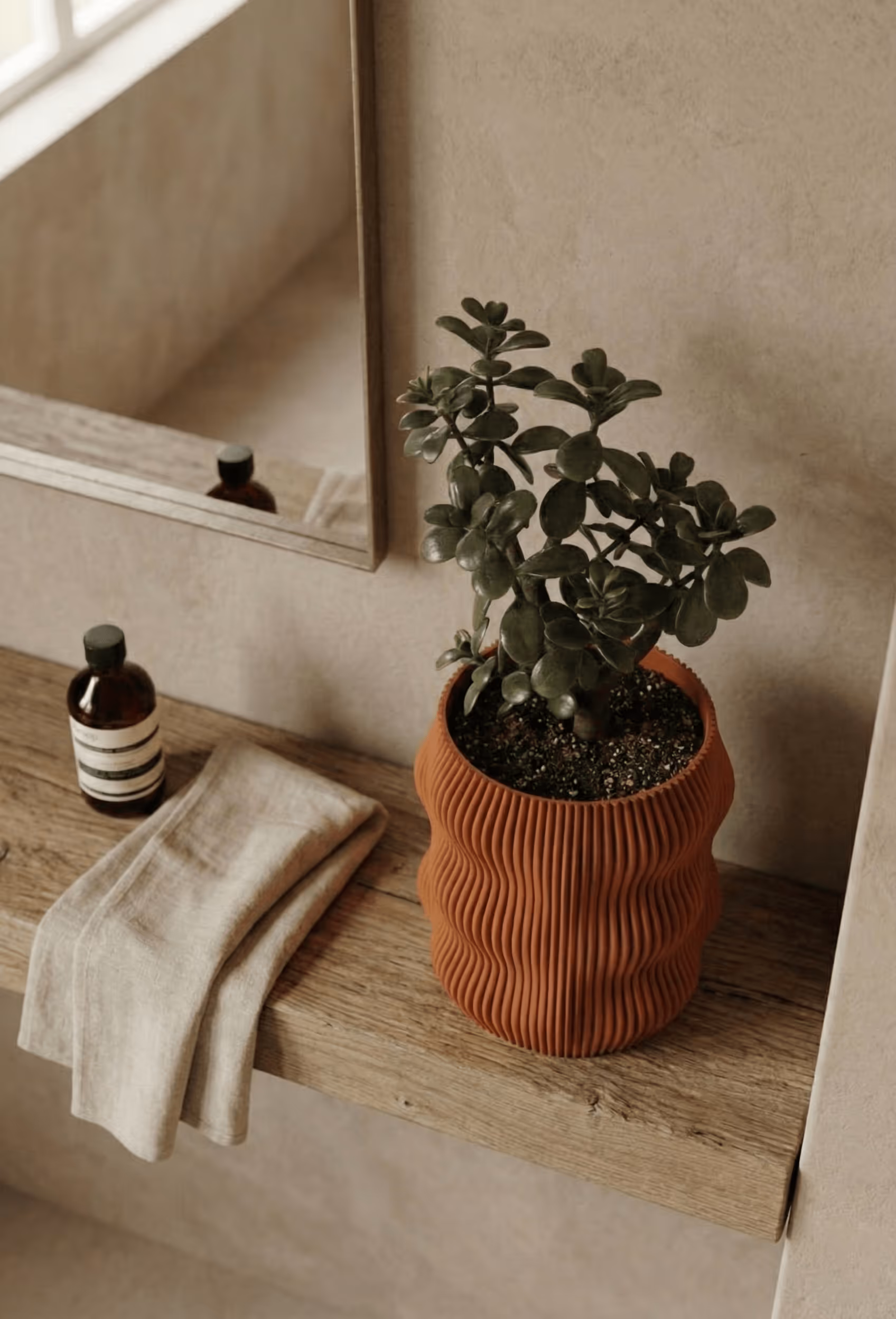 Potted jade plant with textured terracotta pot, towel, and amber bottle on rustic wooden shelf near mirror.