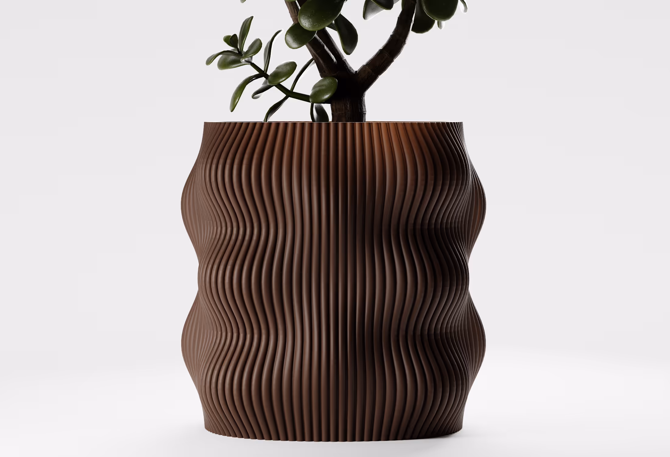 Small green plant growing in a brown wavy textured planter pot on a white background.