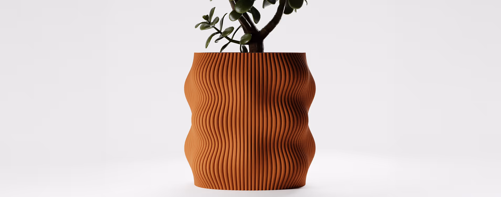 Terracotta planter with vertical wavy grooves containing a small green plant with thick leaves.