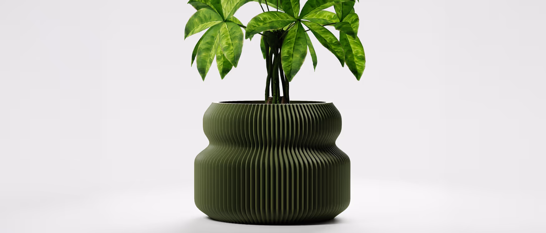Green leafy plant in a modern dark green ribbed pot against white background.