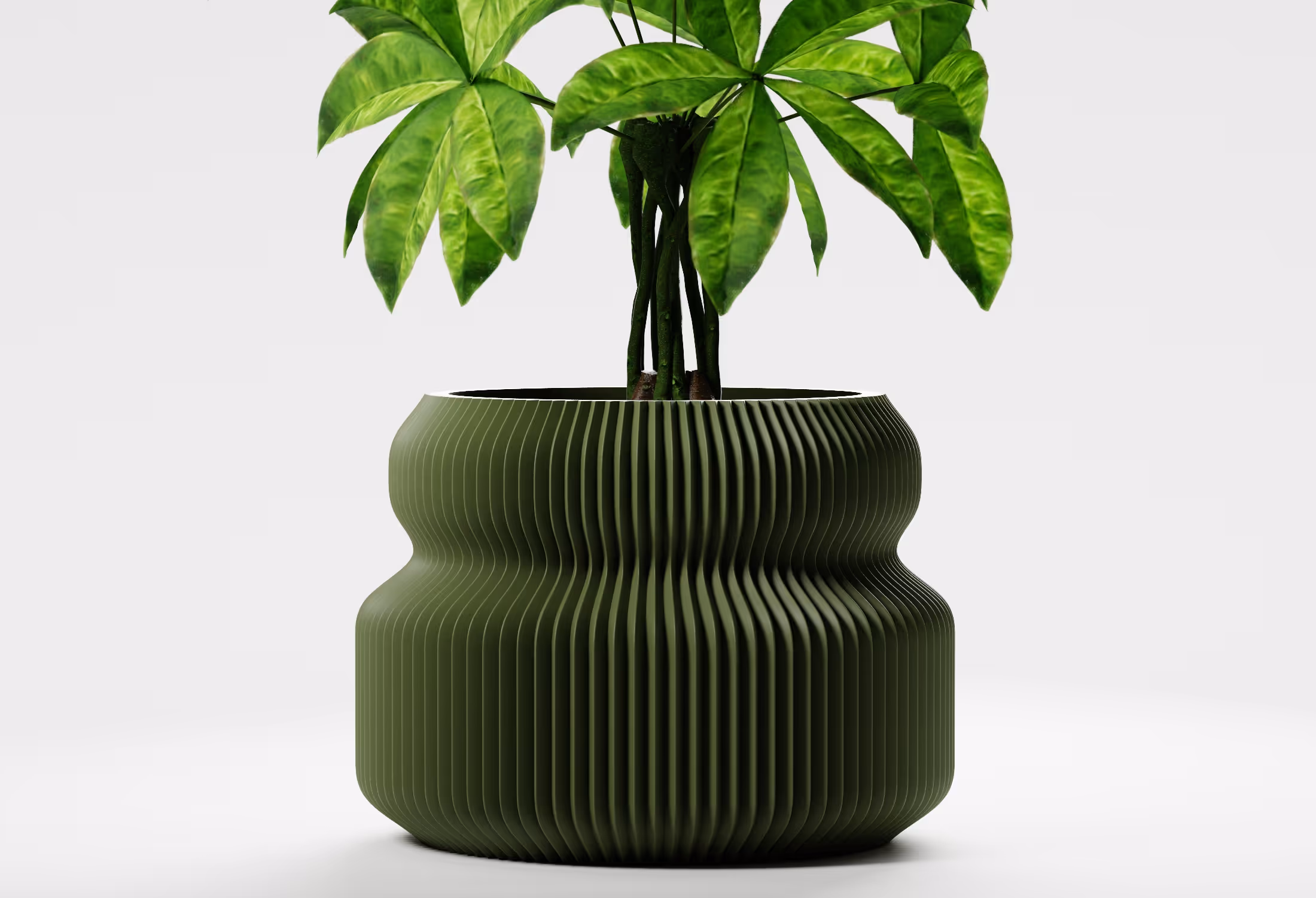 Green leafy plant in a textured, ribbed olive green-colored pot with a wavy shape on a white background.