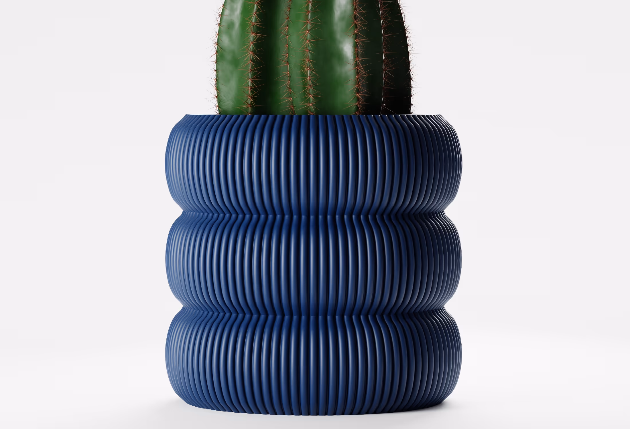 Close-up of a green cactus in a dark blue ribbed, cylindrical planter against a plain white background.