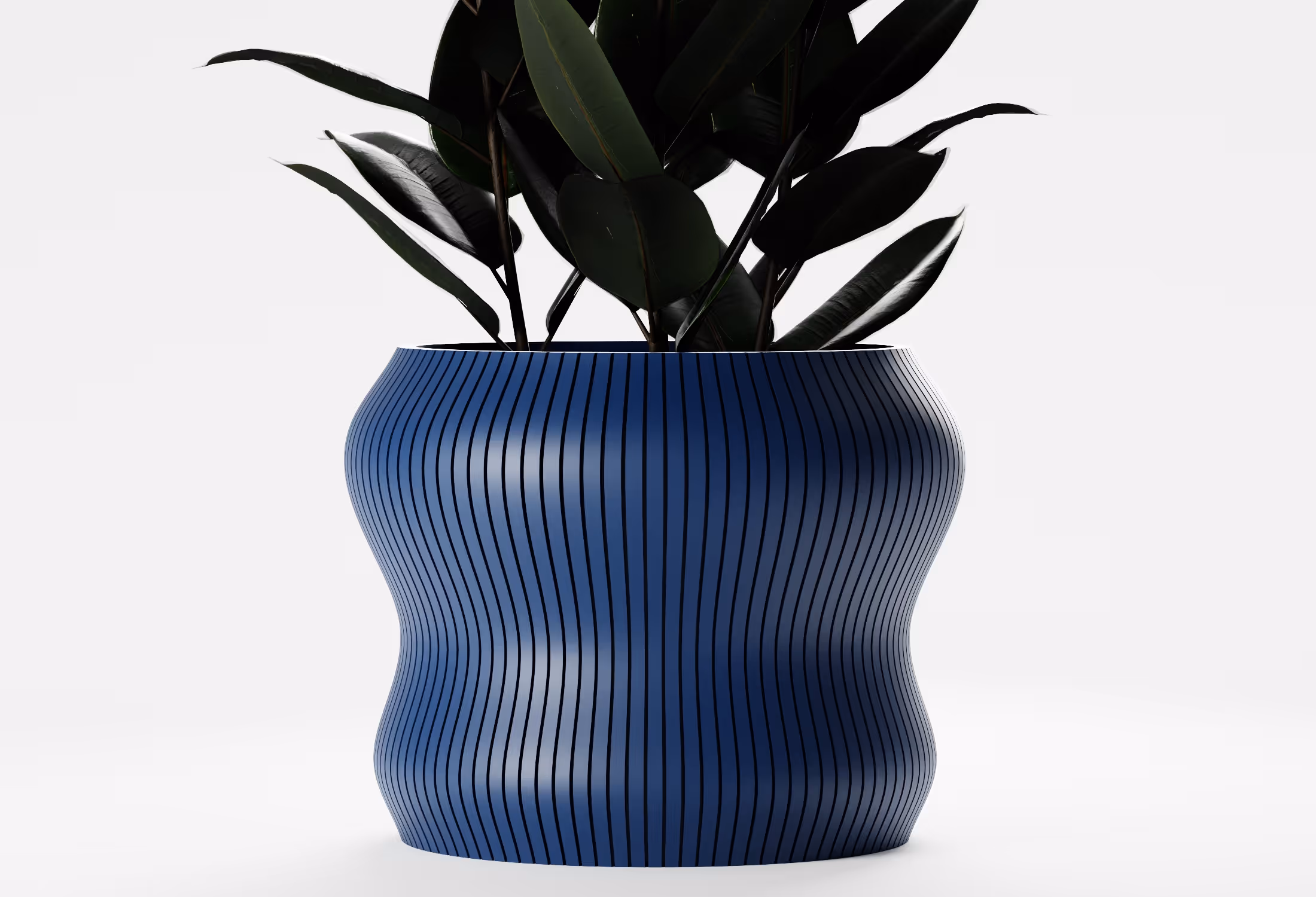Blue, curvy, vertically striped pot with dark green leafy plant on a white background.