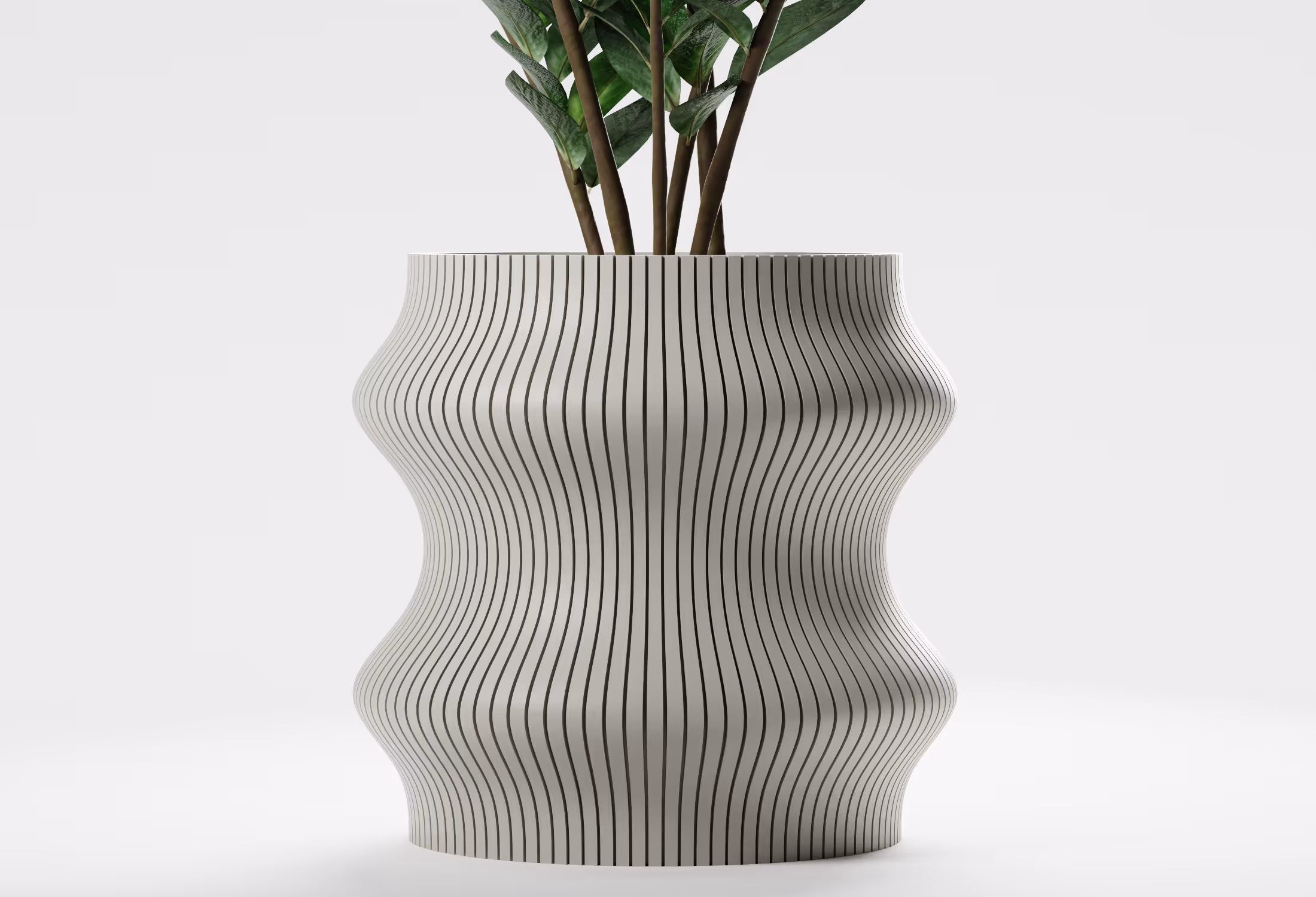 Curvy white planter with vertical black stripes holding a plant with green leaves.