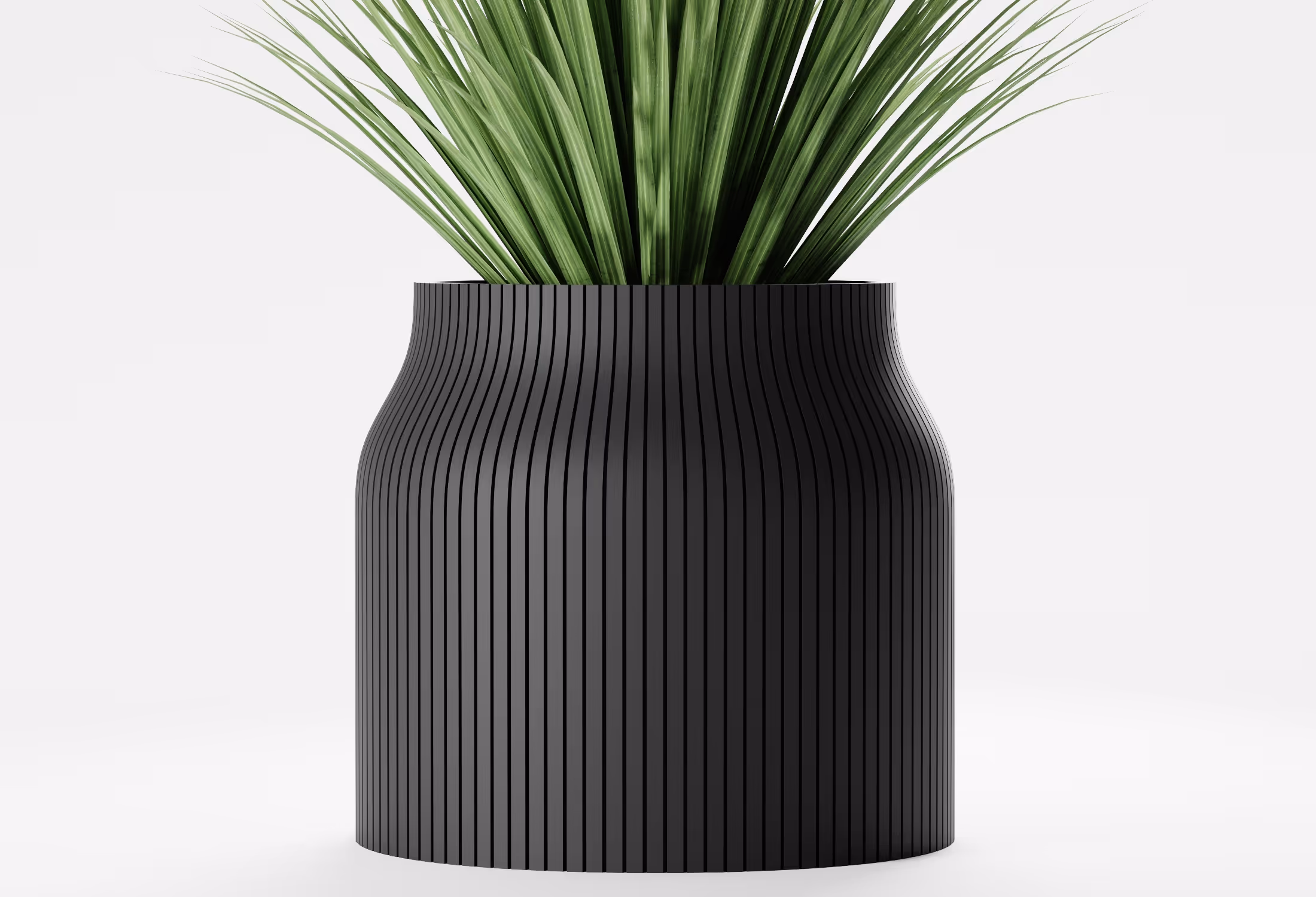 Black striped vase with tall green grass-like plant on a white background.