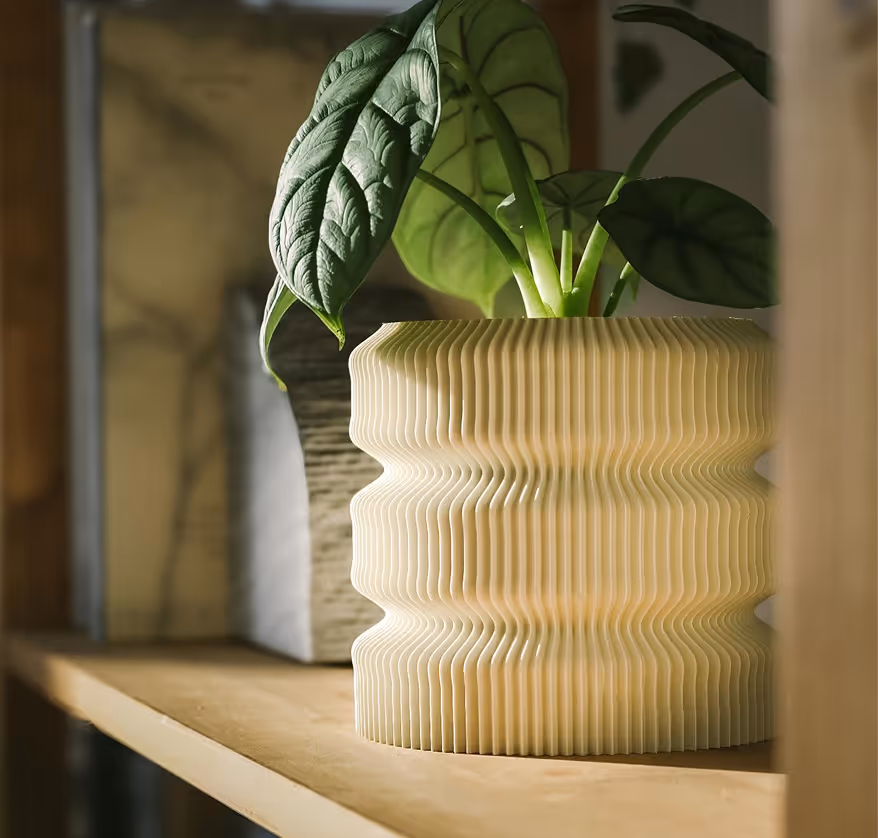 Green leafy plant in a textured beige pot on a wooden shelf with blurred background.