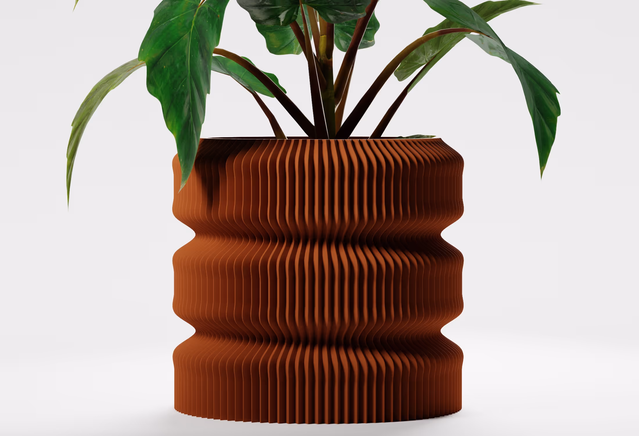 Green leafy plant in a terracotta pot with vertical ridges and wavy shape.