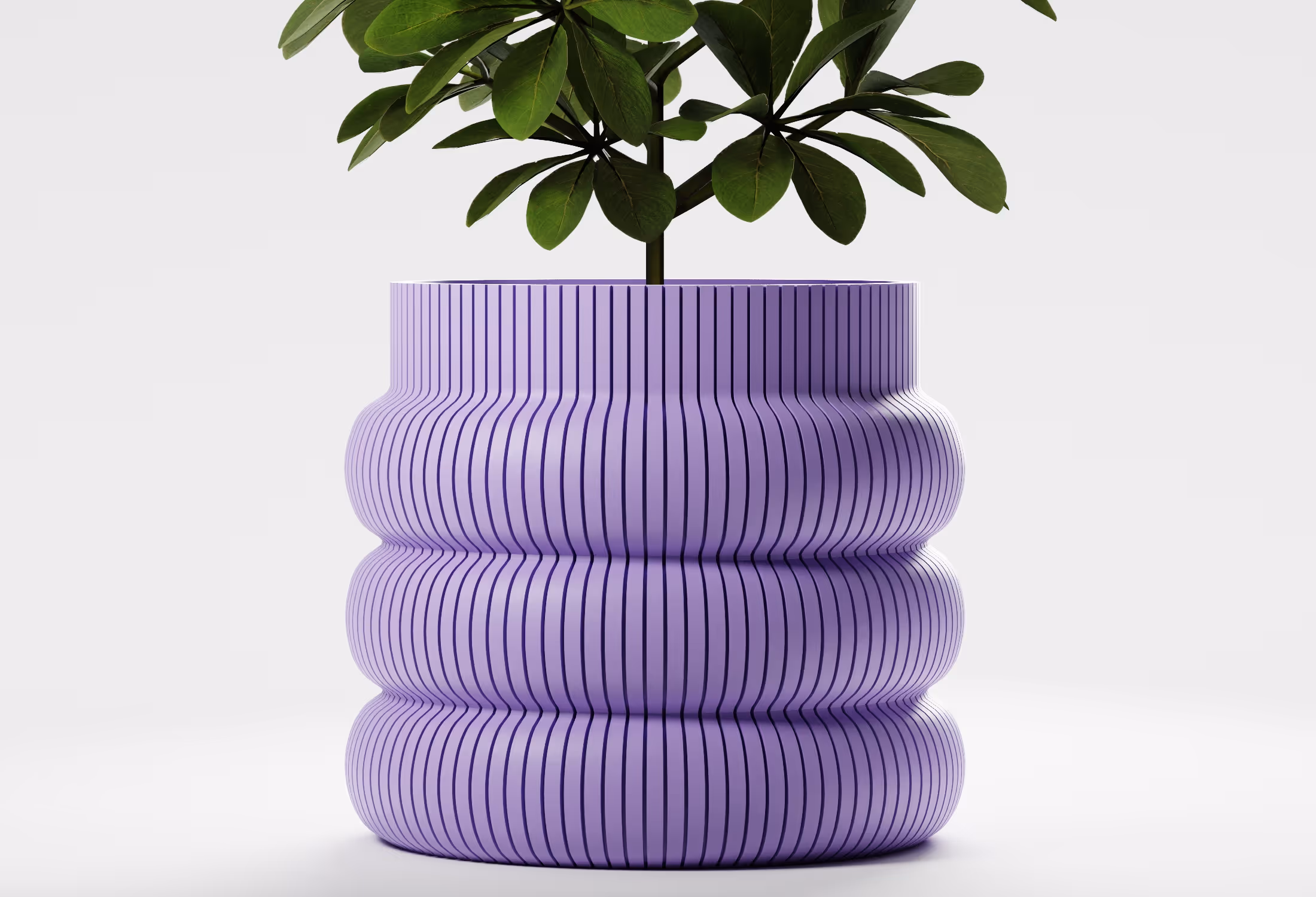 Green plant with broad leaves in a lilac ribbed three-tiered round planter.